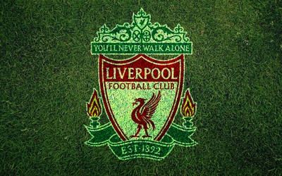 有球电竞快讯-加克波国家队连续五场进球